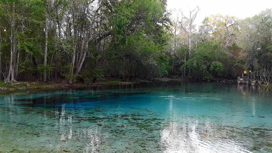 Manantiales de Florida. Agua cristalina rodeada de árboles