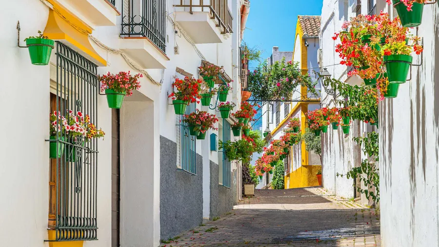 Casitas bajas de blanco, macetas de color verde y flores rojas cuelgan a lo largo de la calle en subida.